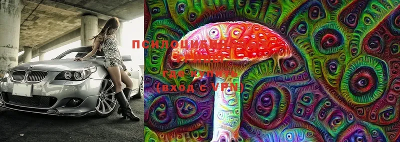 где можно купить   кракен ССЫЛКА  Галлюциногенные грибы MAGIC MUSHROOMS  Адыгейск 